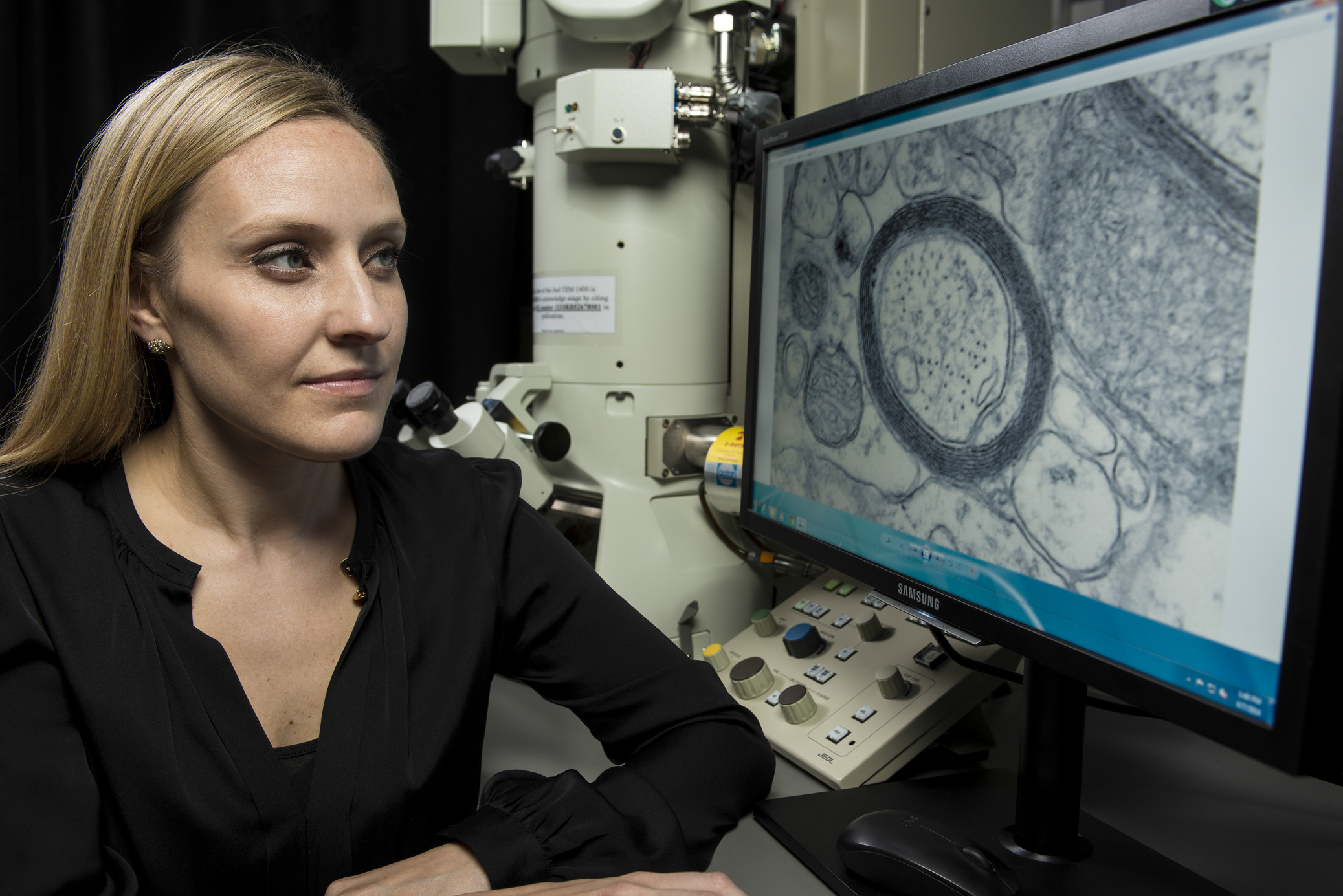 Erin Gibson examines electron microscope images of cells on a computer.