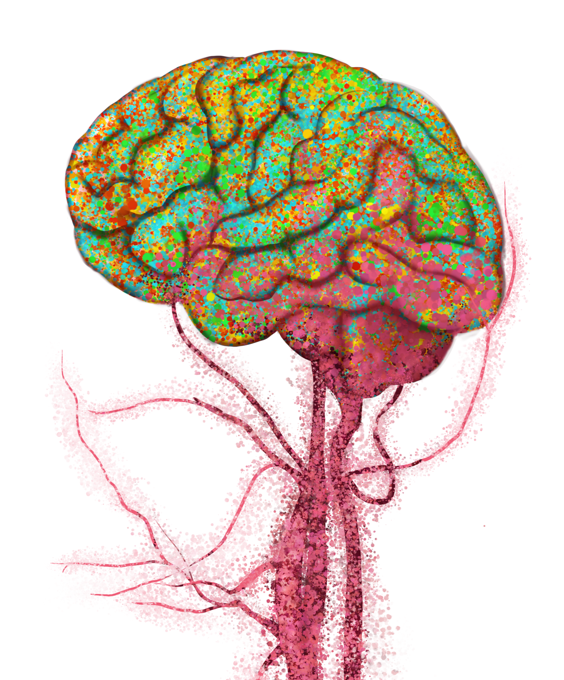 A illustration of the brain (in green and yellow) connected to blood vessels of the body (in red).