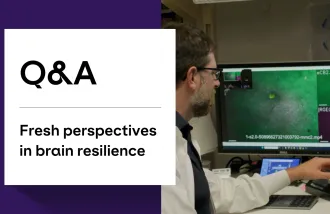 Text - Q&A, Fresh perspectives in brain resilience; Image - Peter Klein researching in the Soltesz lab