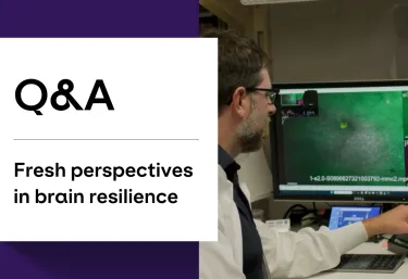 Text - Q&A, Fresh perspectives in brain resilience; Image - Peter Klein researching in the Soltesz lab