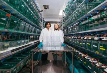 Ravi Nath and Claire Bedbrook stand in an aisle of shelves filled with fish tanks.
