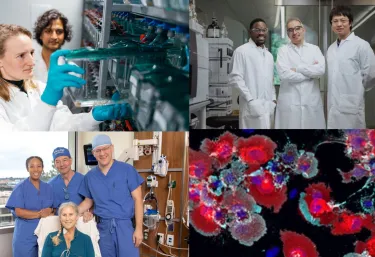 Two groups of researchers, doctors with a patient, and a red and blue stained image of brain cells in two-by-two array.