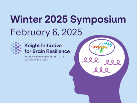 Graphic design of a silhouette of a person's side profile with a space representing the brain, featuring three abstract representations of properly functioning proteins in pink with a prion (protein infection) circled on top.  Text: Winter 2025 Symposium; February 6, 2025; Knight Initiative for Brain Resilience