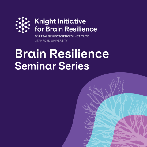 Knight Initiative for Brain Resilience, Wu Tsai Neurosciences Institute, Stanford University; Brain Resilience Seminar Series; Design of a tree that represents a neuron in front of Knight Initaitive branded colors (purple, blue, pink)