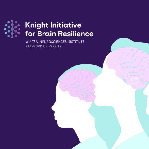 Text (left): Knight Initiative for Brain Resilience, Wu Tsai Neurosciences Institute, Stanford University. Image (right): A graphic design of three individuals turned left with a brain overlayed on each (to visually represent the stages of biological brain aging)