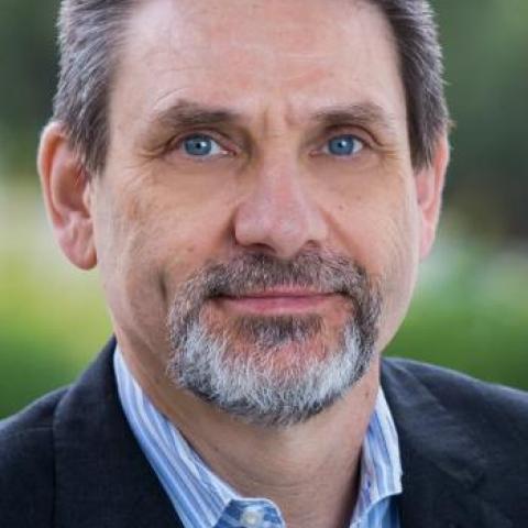 Daniel Palanker, PhD