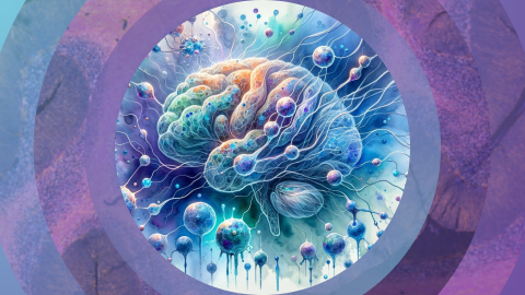 Watercolor image of a brain that explores the complex interplay between brain structures, neural networks, and lipid droplets, tied to Alzheimer's research and the APOE4/4 gene discovery.