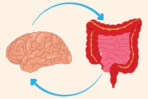 Gut-brain connections