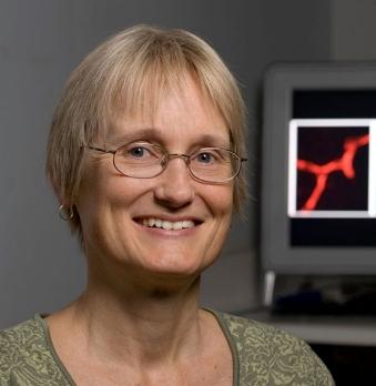 katrin andreasson