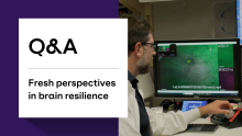 Text - Q&A, Fresh perspectives in brain resilience; Image - Peter Klein researching in the Soltesz lab