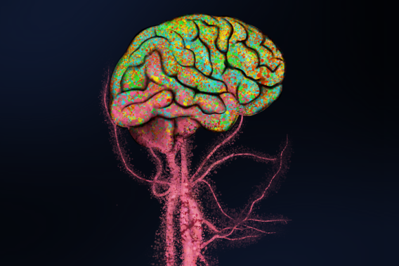  Protect Against Alzheimer’s Disease