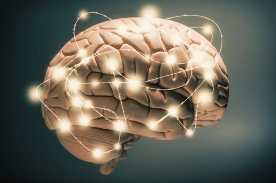 Stock image of a brain with circuits around it