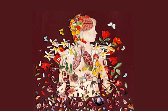 Image art of a person with their brain and lungs showing along with flowers,  birds, and bees