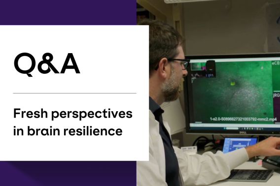 Text - Q&A, Fresh perspectives in brain resilience; Image - Peter Klein researching in the Soltesz lab