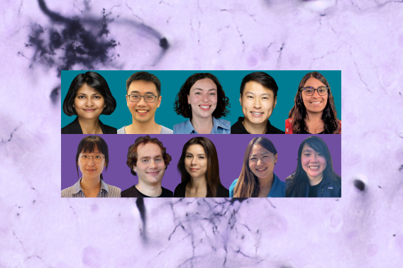 Background image - "Oligodendroglia stained with the Rio-Hortega variant to the Golgi u2019s silver chromate. From the rounded soma, several thin processes arise. The dark thick traces are blood capillaries. The 2026 Neuroscience Postdoctoral Scholars; Top row, Interdisciplinary scholars, from left: S Shailja, Eric Zhao, Chloe Jean Bair-Marshall, David Au, Shwetha Srinivasan. Bottom row, Brain Resilience Scholars, from left: Ja Eun Choi, Nimrod Rappoport, Heankel Lyons, Christine Ng, Emmy Li.