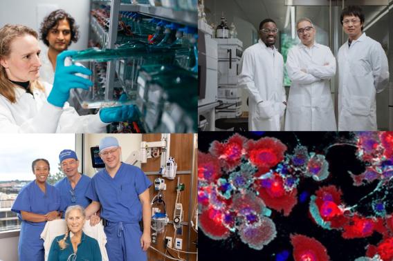 Two groups of researchers, doctors with a patient, and a red and blue stained image of brain cells in two-by-two array.