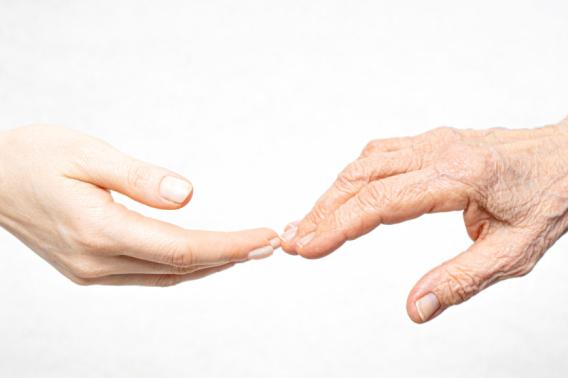 rejuvenate aging brains