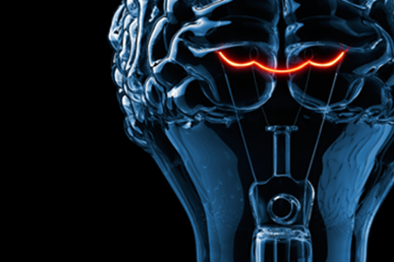 illustration of brain as a lightbulb
